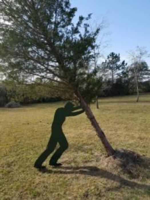 lifesize silhouette  man  pushing tree